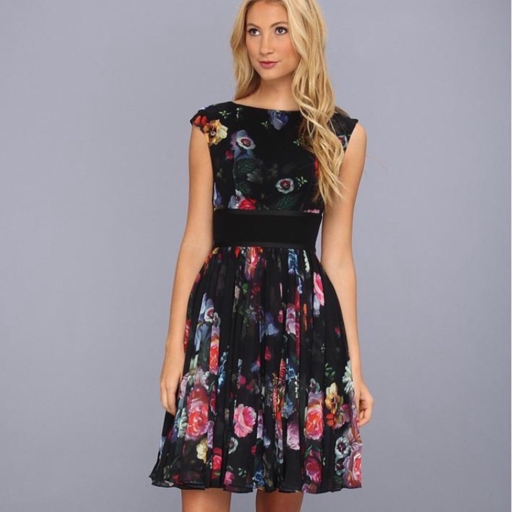 Ted Baker Farilla Oil Paint Floral Print Dress